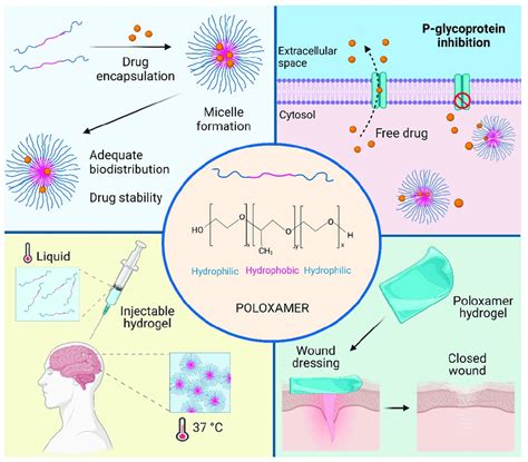 Prospective application of poloxamer 188 in plastic surgery: A .